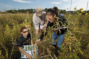 Three students are interacting in a prairie with an identification guide