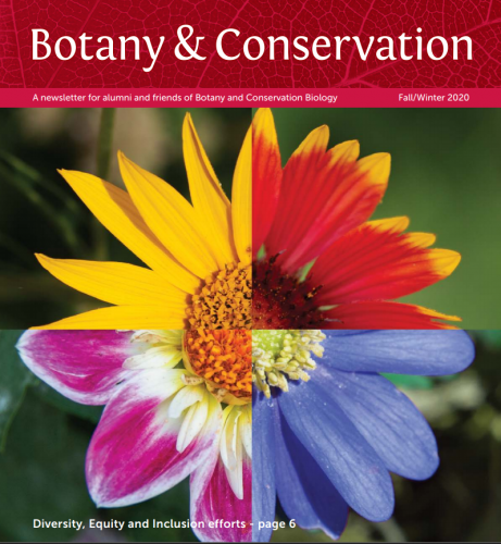 Newsletter Cover Fall 2020